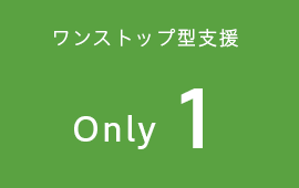 ワンストップ型支援